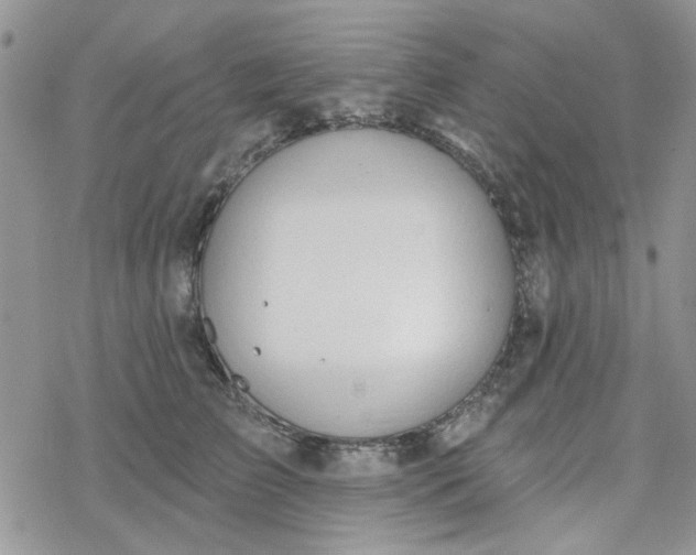 X0000078230709200611171434