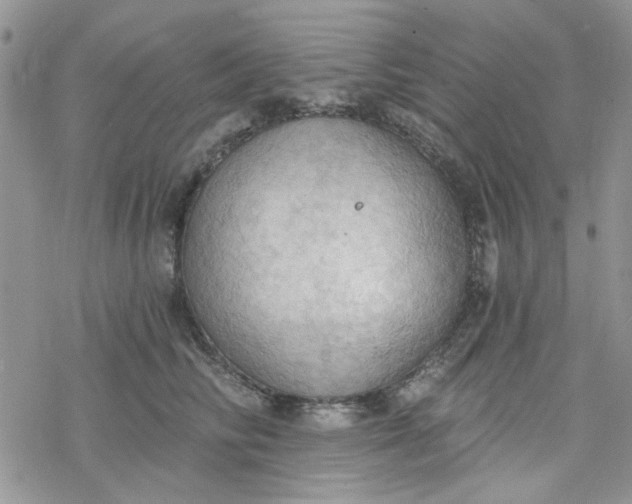 X0000078230710200611171434