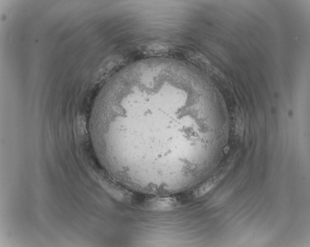 X0000078230711200611171434