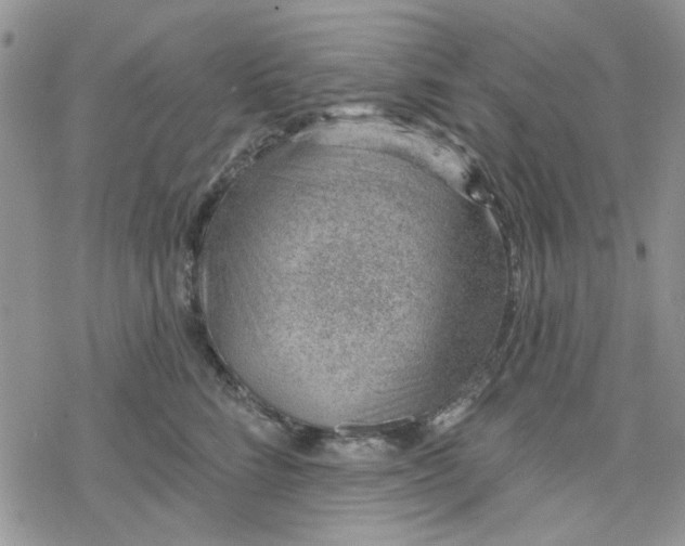 X0000078230712200611171434