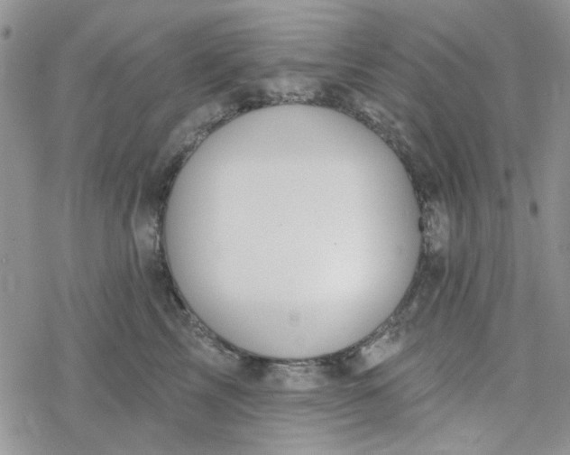 X0000078230713200611171434