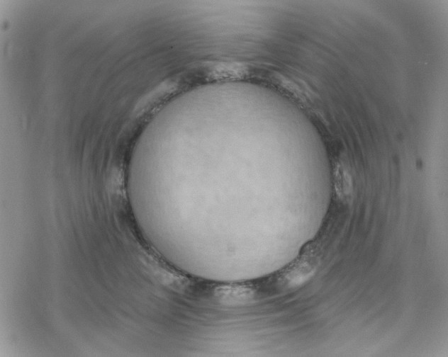 X0000078230714200611171434