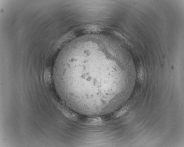 X0000078230715200611171434