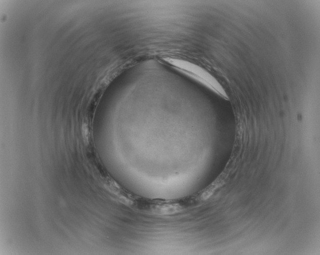 X0000078230716200611171434