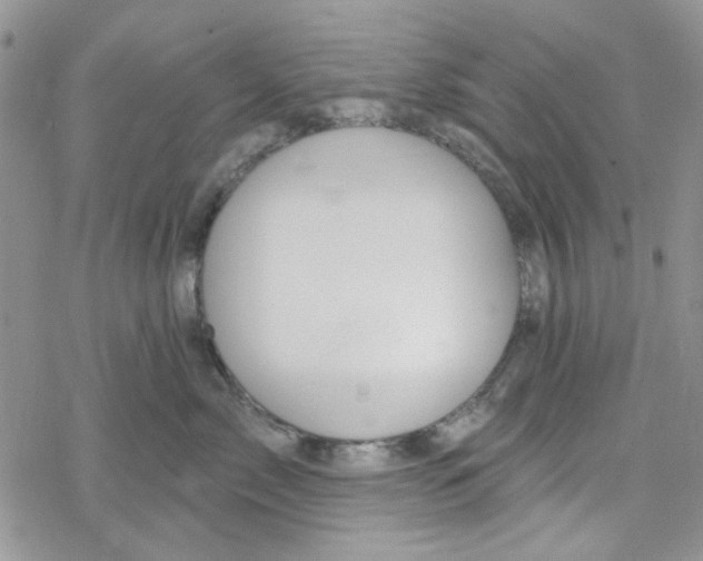 X0000078230717200611171433