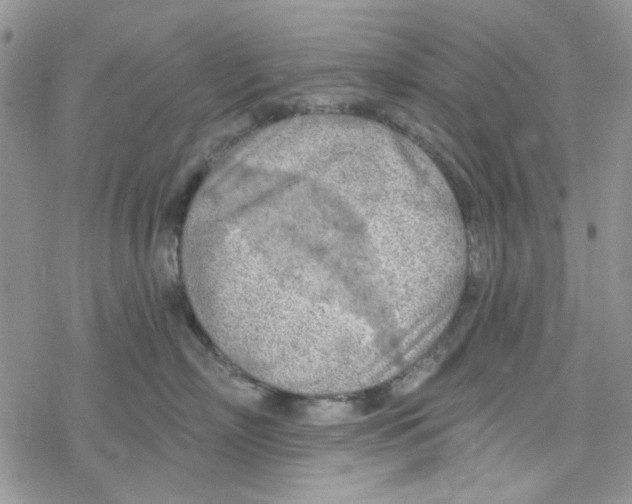 X0000078230718200611171433