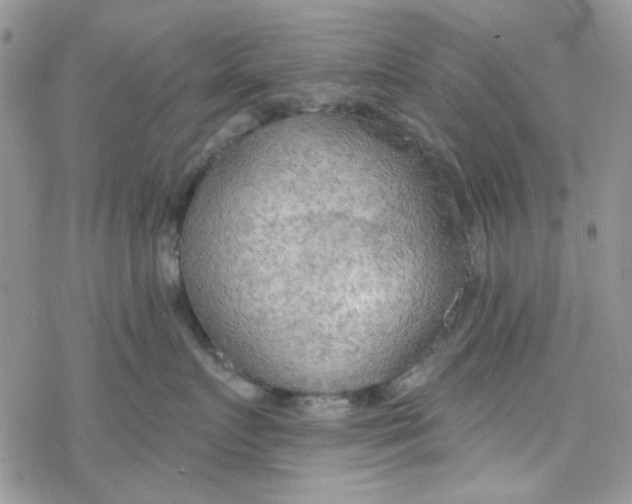 X0000078230719200611171433