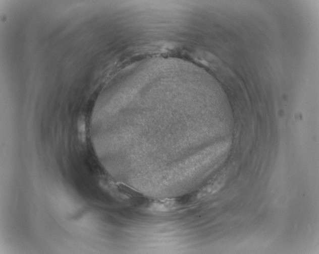 X0000078230720200611171433