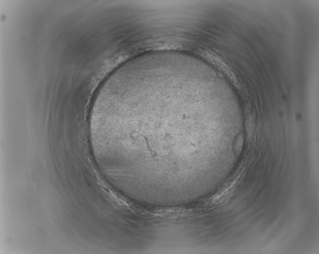 X0000078230721200611171433