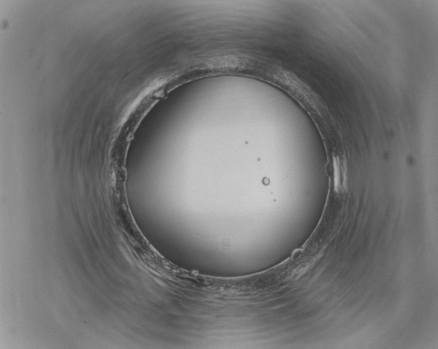 X0000078230723200611171433