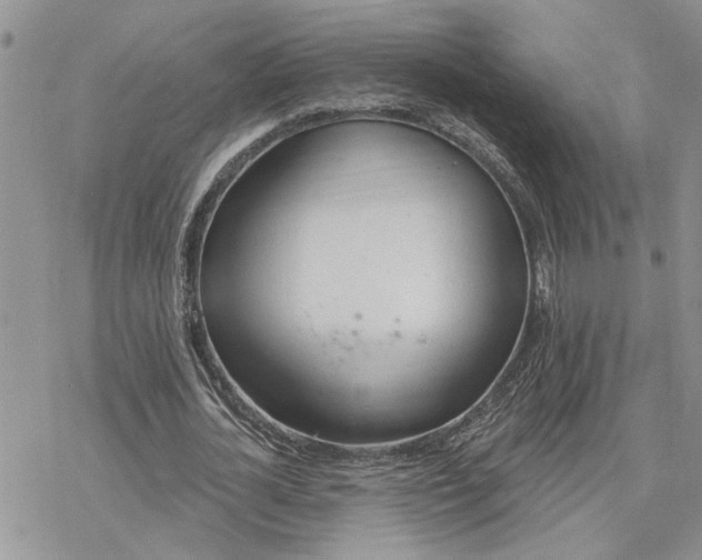 X0000078230724200611171433