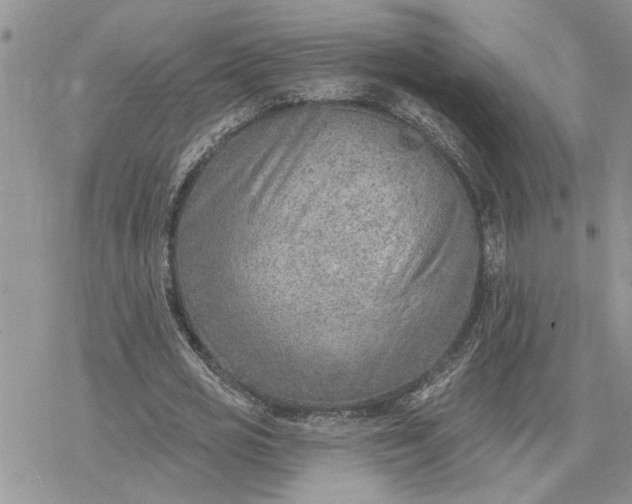 X0000078230725200611171433