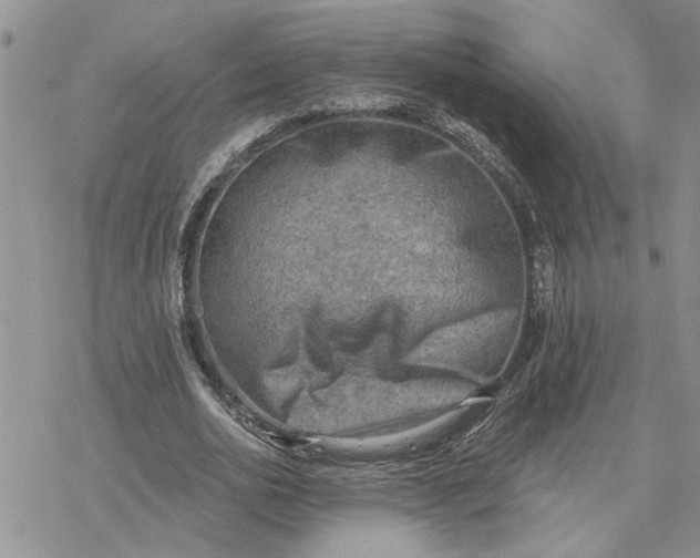 X0000078230726200611171433