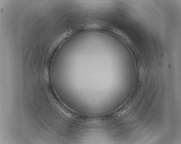 X0000078230729200611171433