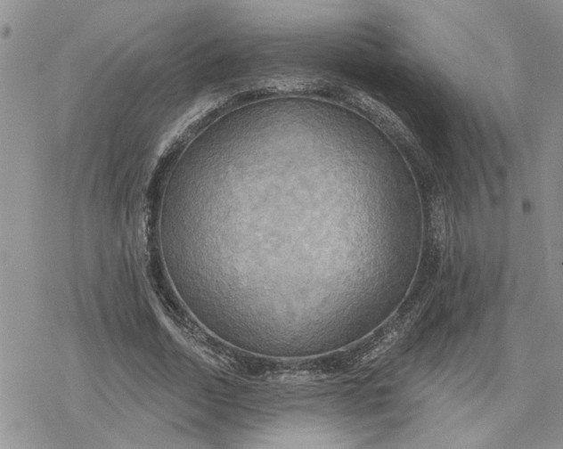 X0000078230730200611171433