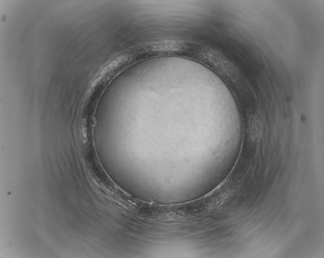 X0000078230731200611171433