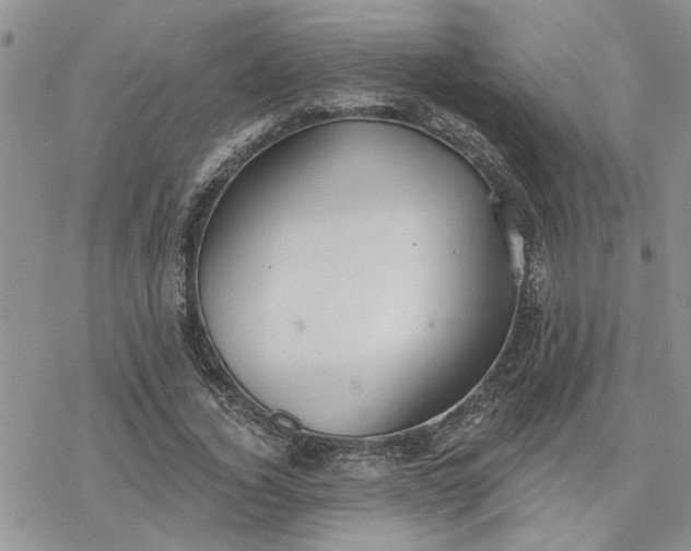 X0000078230732200611171433