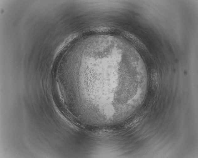 X0000078230734200611171433