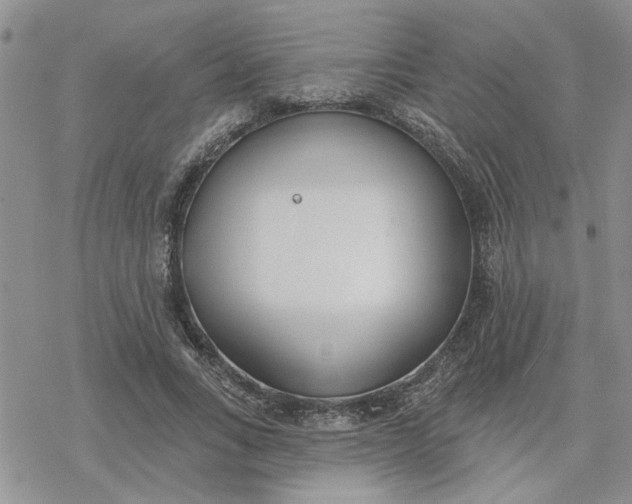 X0000078230735200611171433