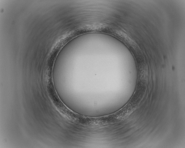 X0000078230736200611171433