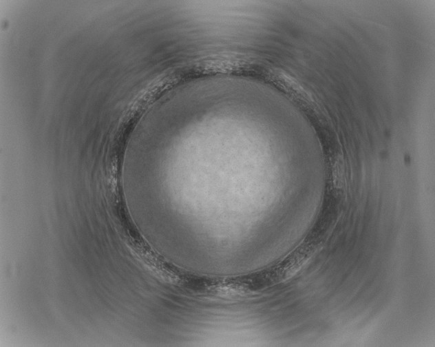 X0000078230737200611171433