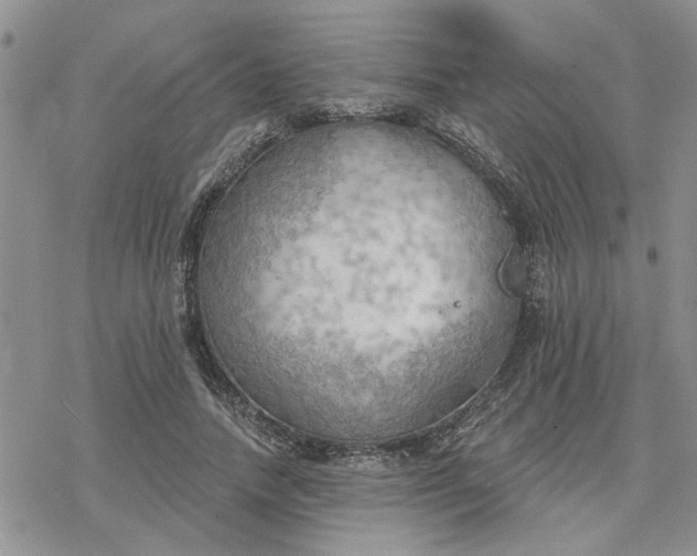 X0000078230738200611171433