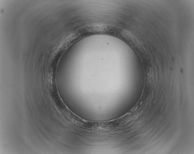 X0000078230739200611171433