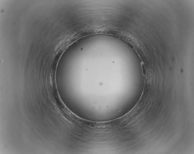 X0000078230740200611171433