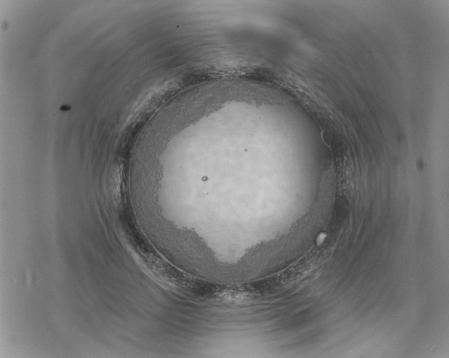 X0000078230742200611171433