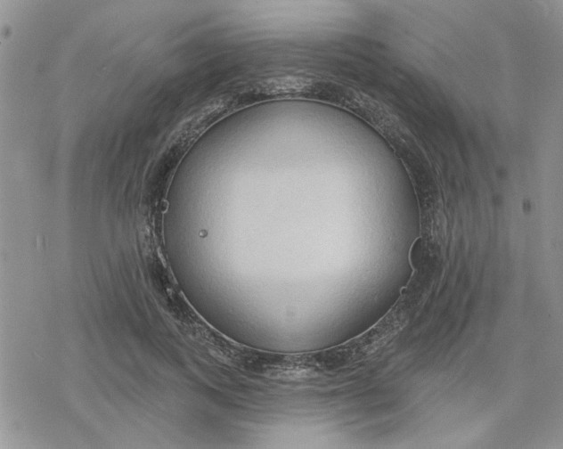 X0000078230743200611171433