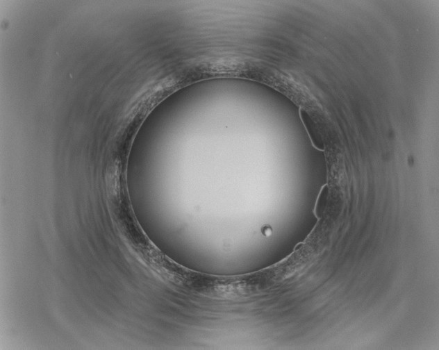 X0000078230744200611171433