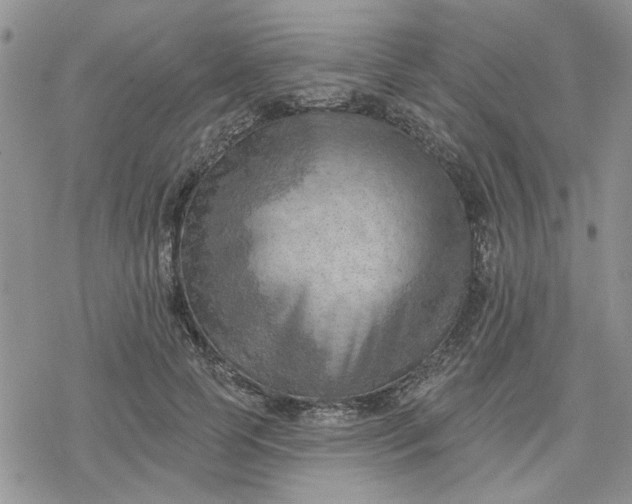 X0000078230745200611171433