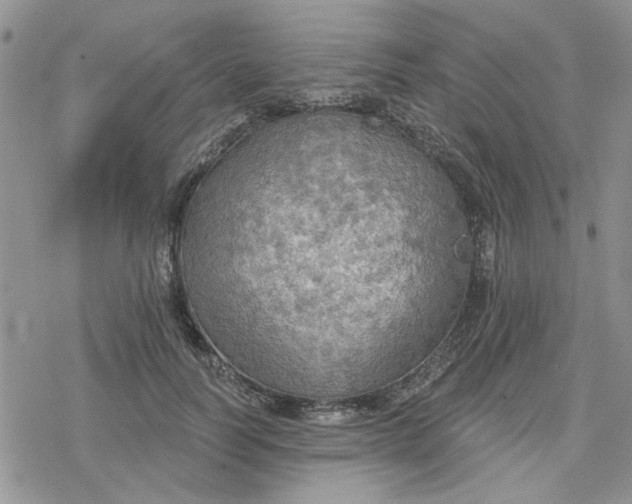 X0000078230746200611171433