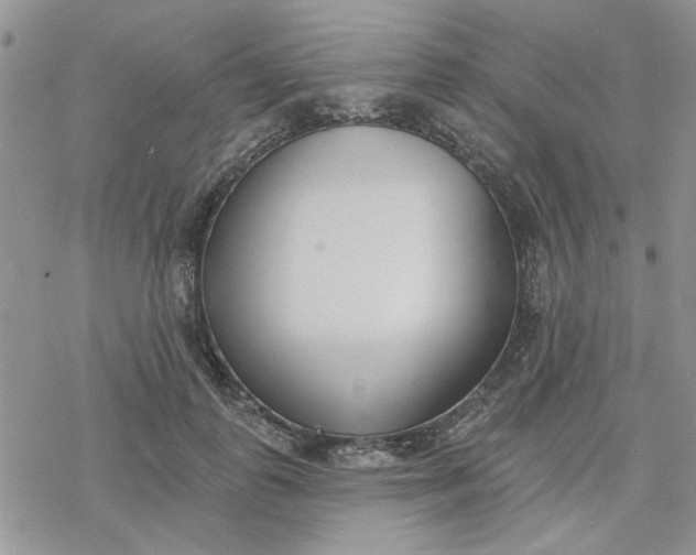 X0000078230747200611171433