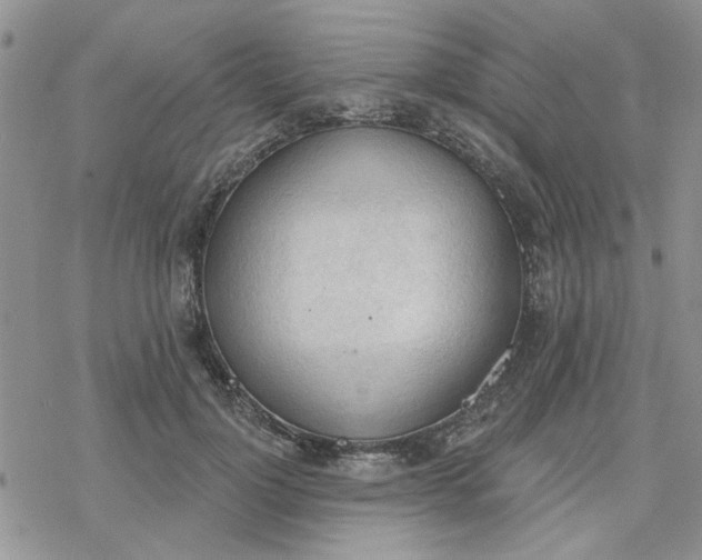 X0000078230748200611171433