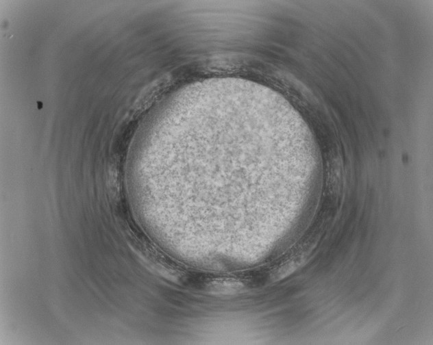 X0000078230749200611171433