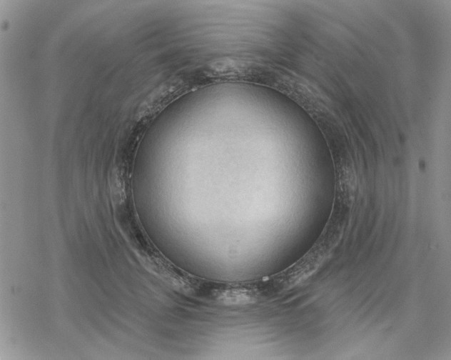 X0000078230751200611171433