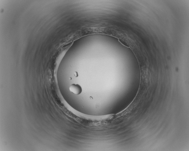 X0000078230752200611171433