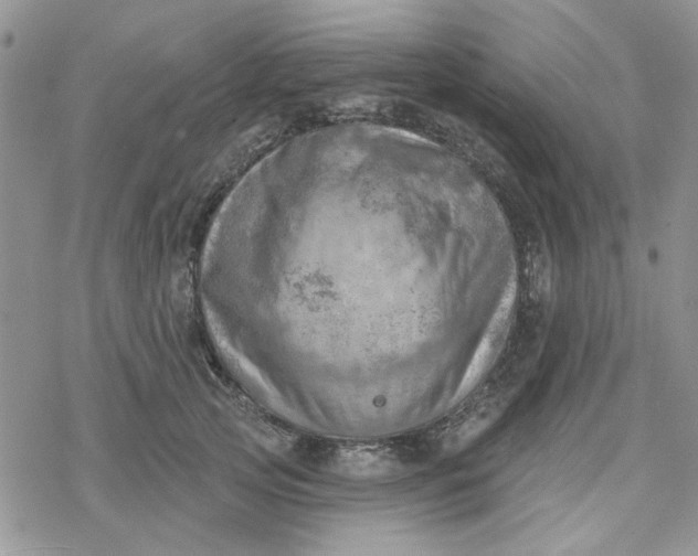 X0000078230753200611171433