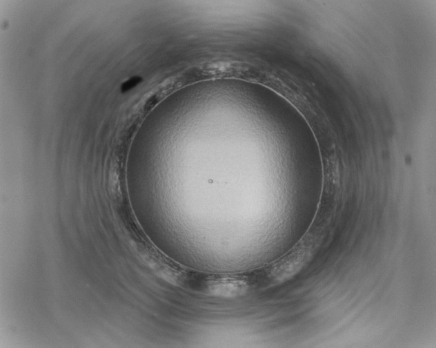 X0000078230754200611171433