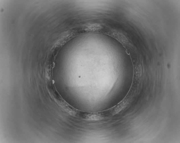 X0000078230755200611171433