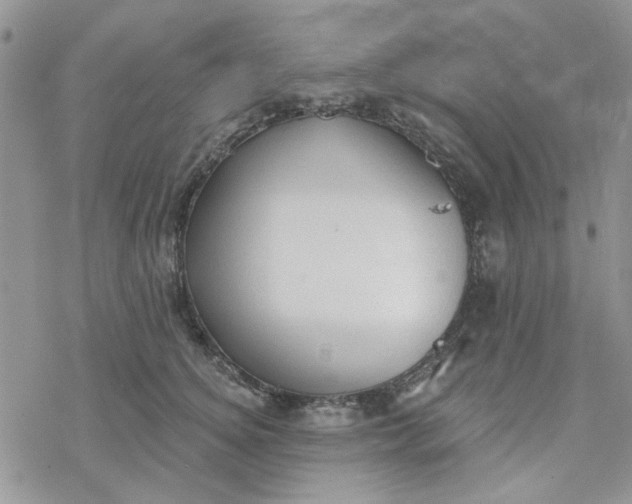 X0000078230756200611171433