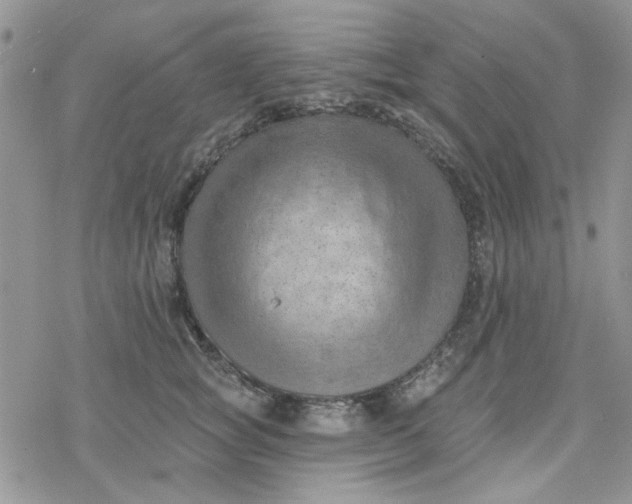 X0000078230757200611171433