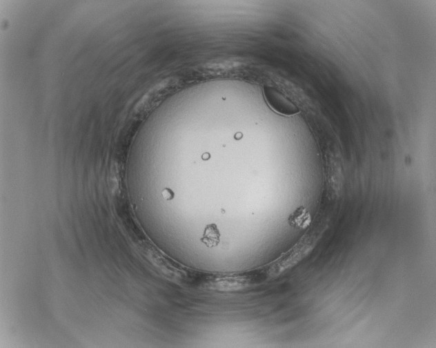 X0000078230758200611171433