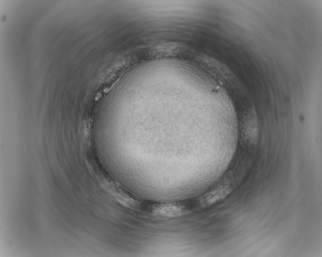 X0000078230759200611171433