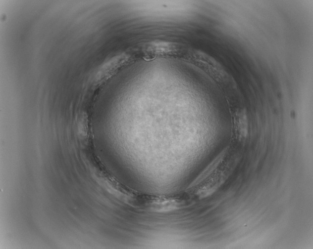 X0000078230760200611171433