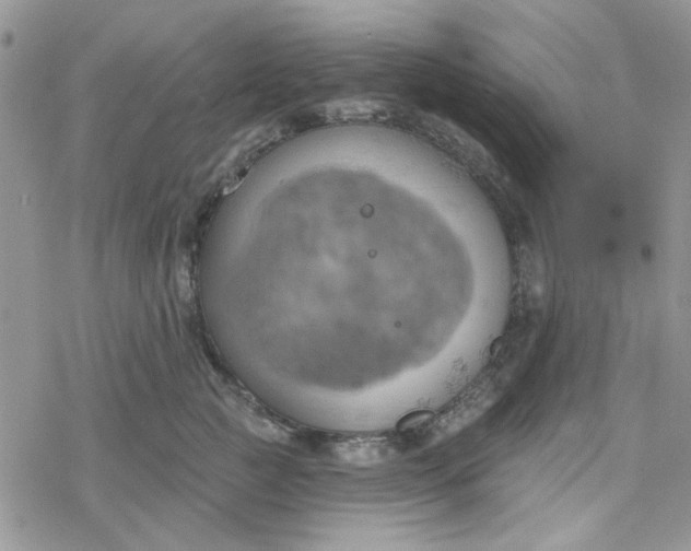 X0000078230761200611171433