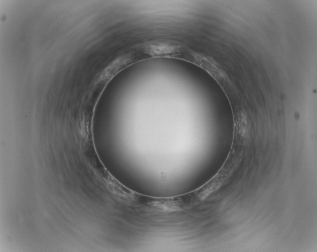 X0000078230763200611171433