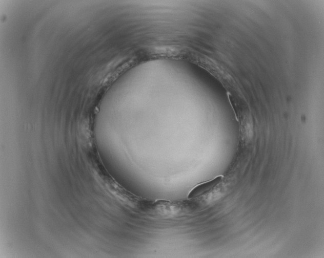 X0000078230764200611171433