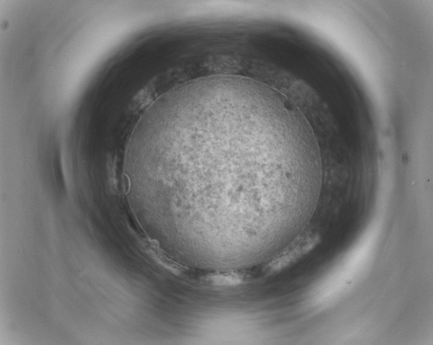 X0000078230765200611171433